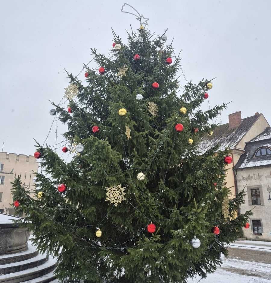 Tábor zahajuje advent rozsvícením vánočního stromu a betlémem