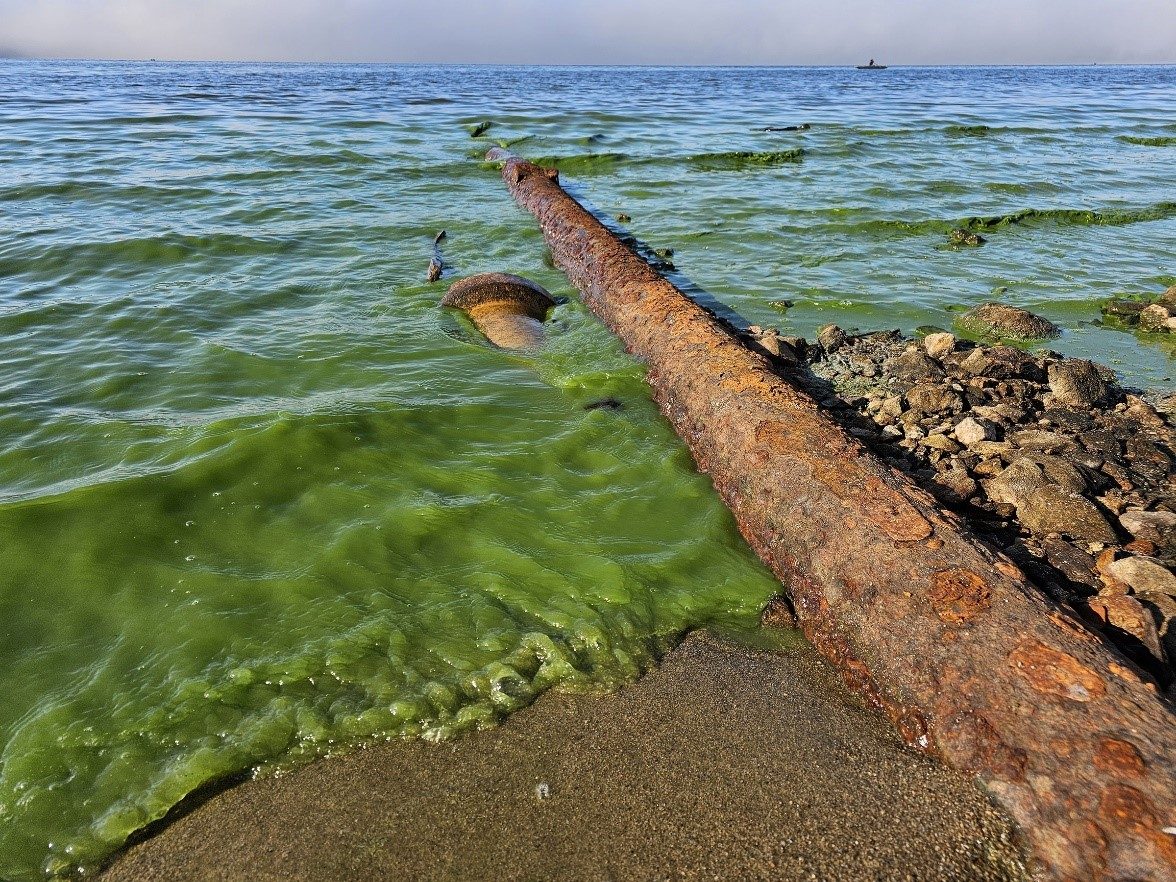 Vypuštěné Lipno odhalilo desítky černých výpusťí
