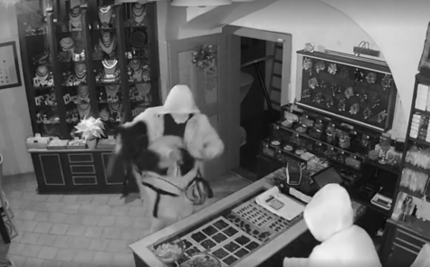 Vltavíny za 1,4 milionu: dva pachatelé ve vazbě