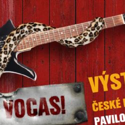 Echt pivo, fest hudba – to bude letošní Pardál Fest