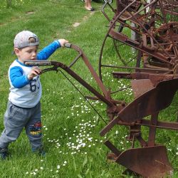 Na procházku autobusem do Holašovic a na Kleť!