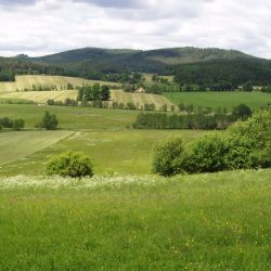 S Průvodcem divočinou k řece Blanici z Křišťanova