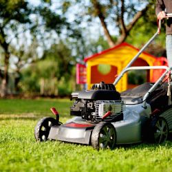 Benzínové nebo elektrické sekačky: které jsou lepší?