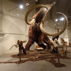 Giganti doby ledové opět na Lipně