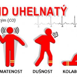 Jedenáct lidí bylo evakuováno kvůli úniku CO