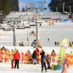 Jihočeský kraj přispěje 10 miliony žákům, kteří by se jinak nemohli z ekonomických důvodů zúčastnit lyžařského výcvikového kurzu