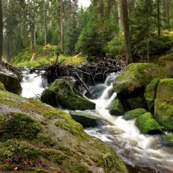 Úžasné Šumavské krajinky očima žáků: Nechte se okouzlit výstavou na krajském úřadu!