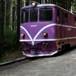 Jindřichohradecká úzkokolejka znovu na prodej: šance pro zájemce!