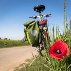 Moderní cyklostezka za 80 milionů Kč vyrostla z železničního náspu ve Veselí nad Lužnicí!