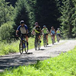 Šumava omezuje trasy kvůli hrozbě slintavky a kulhavky