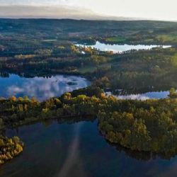 Blatenská ryba v ohrožení: Nedostatek vody sníží produkci o 50 %