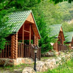 Jihočeské tábory plné dětí, ale hygiena kulhala: Rekordní pokuty za letní sezónu