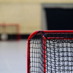 Rekordní návštěvnost ženského hokeje v Českých Budějovicích