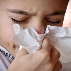 Respirační onemocnění klesají v JČ kraji, ale stoupají v Táboře a Písku