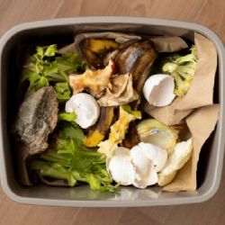 Rudolfov: Město třídí živočišný odpad, šetří miliony