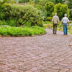 Nárok na kompenzační bonus mají i lidé v úpadku, dobrovolníci v pečovatelských službách a pěstouni pracující na dohodu