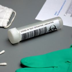 Testování ve školách