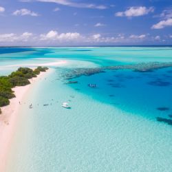 V programu COVID Záruka CK obdrželo 56 firem záruky za víc než 55 milionů korun