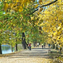 Jižní Čechy jsou opět na špici zájmu turistů