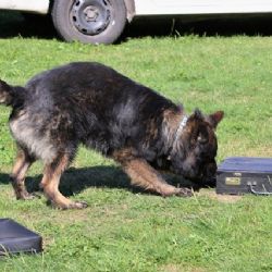 Zveme vás na fotbal