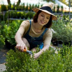 Maříž čelí obavám kvůli zahrádkářské kolonii