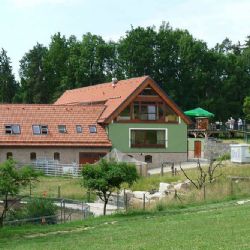 Táborská zoo hledá nový domov pro zachráněné vlky