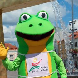 Společnost UNIWEB s.r.o. pečuje o facebookové kampaně Nadace sportující mládeže