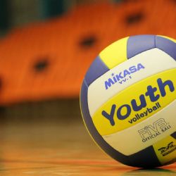 Jihostroj ČB vítá íránského smečaře Sina Nikpura