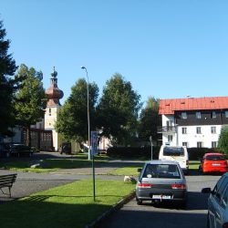 Nová vlčí trasa v Šumavě: dobrodružství v lese