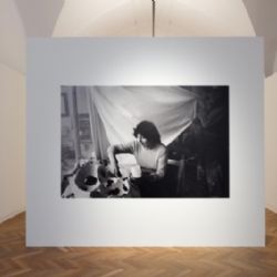 Alšova galerie láká na jedinečnou výstavu Bartuszové: organika a ekologie v Hluboké!