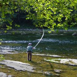 Lov dravců zahájen navzdory dešti: Rybáři se nevzdávají