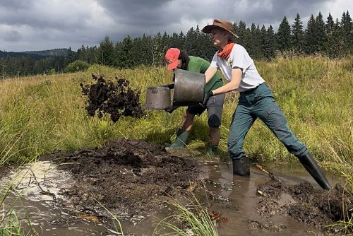 Foto: Šumavské mokřady obnoveny: 150 milionů a 1 800 dobrovolníků