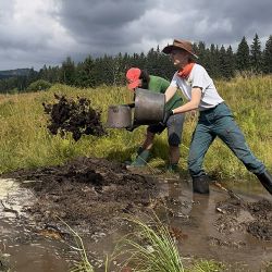 Šumavské mokřady obnoveny: 150 milionů a 1 800 dobrovolníků