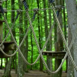 Budějovičáci budou mít už v květnu lanový park