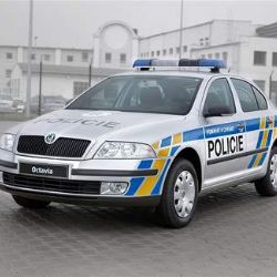 Kradl dřevo a neplatil výživné