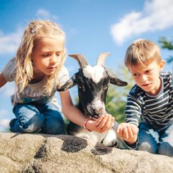 Hlasujte pro svůj oblíbený kraj a vyhrajte zajímavé ceny