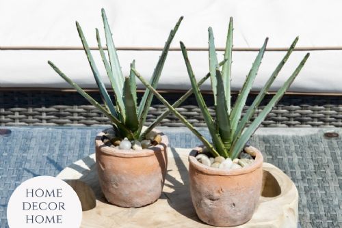Foto: Objevte kouzlo umělých zelených rostlin z e-shopu Home Decor Home a oživte svůj domov
