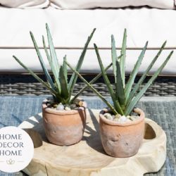 Objevte kouzlo umělých zelených rostlin z e-shopu Home Decor Home a oživte svůj domov