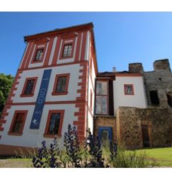 Výstava I TICHÁ, I SILNÁ | EXPRESE v jihočeské galerii COCO